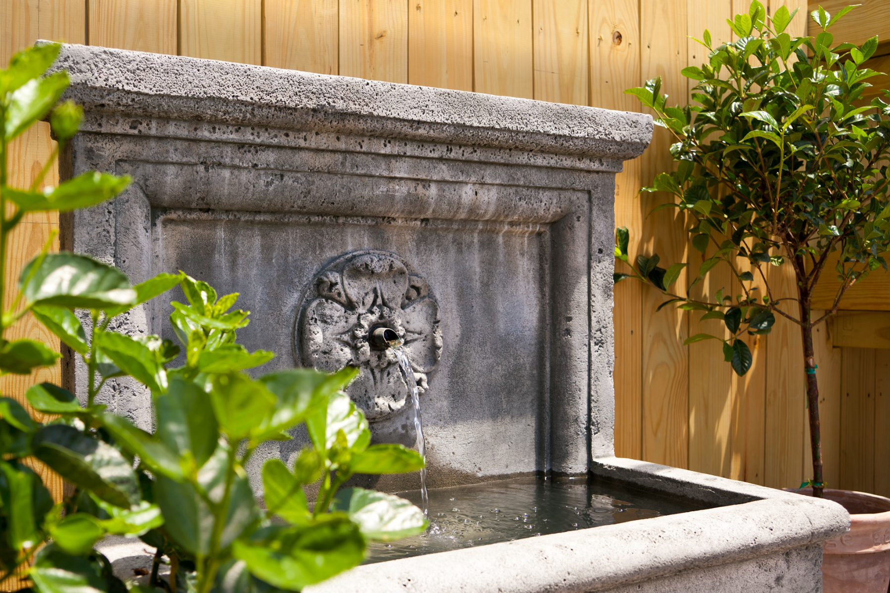 Backyard Water Feature Ideas & 2026 Landscaping Trends