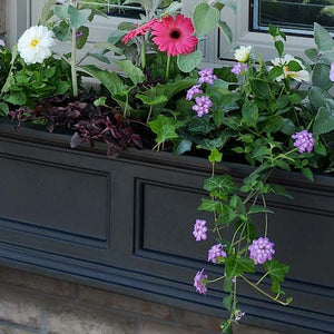 Window Box