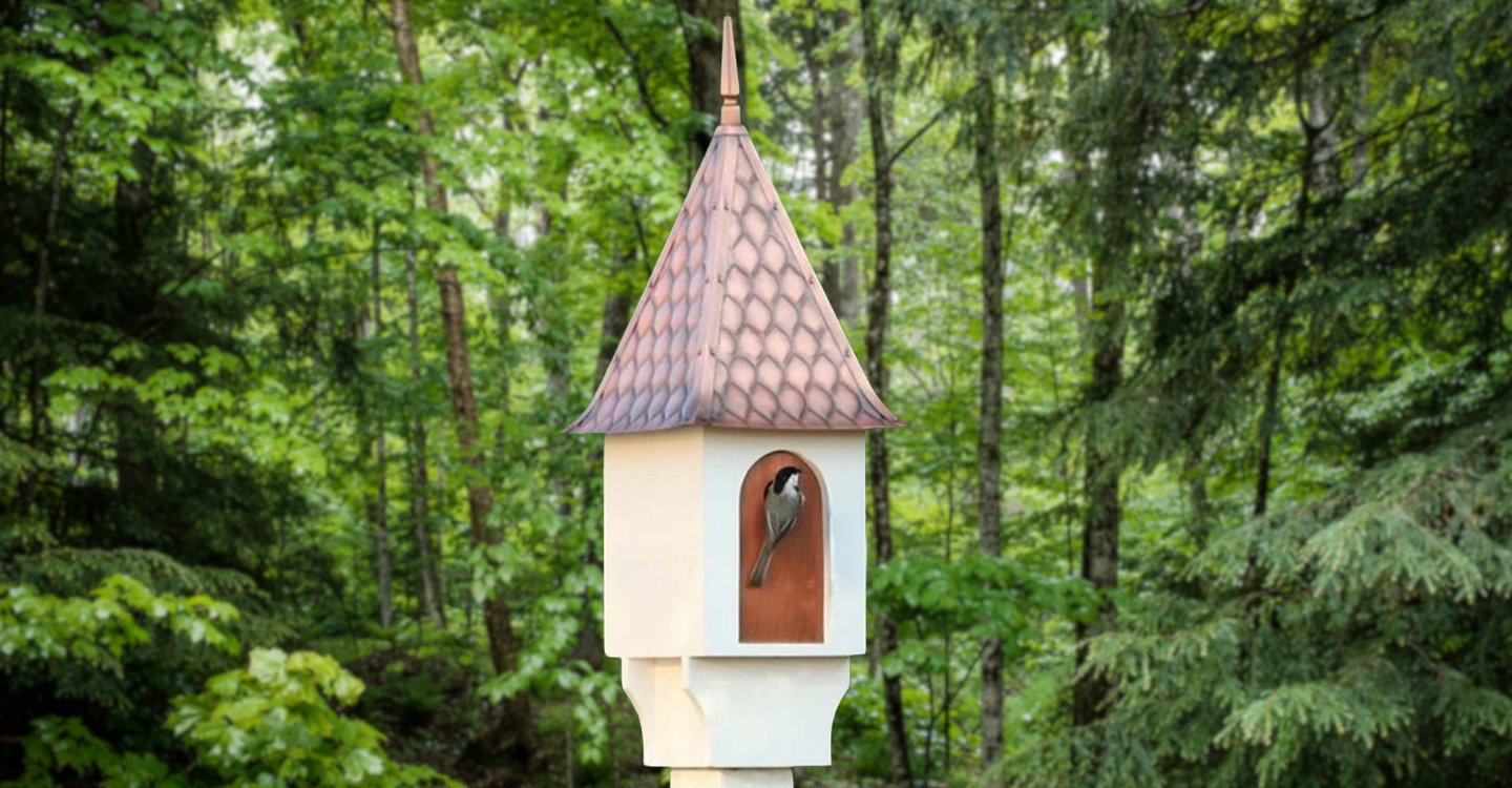 Bird Feeders & Houses