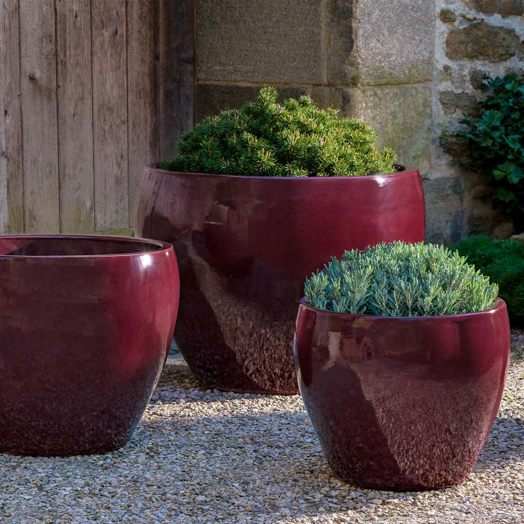Cabachon Planter || Plum