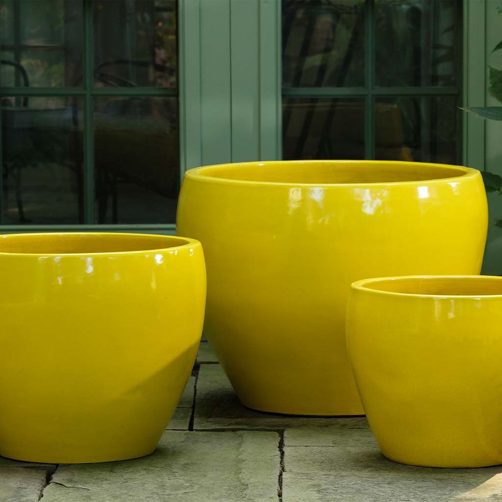 Cabachon Planter || Limon