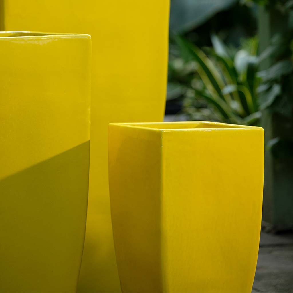 Karis Planter || Limon