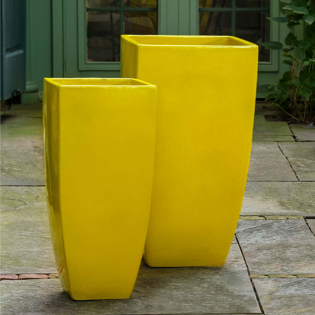 Karis Planter || Limon