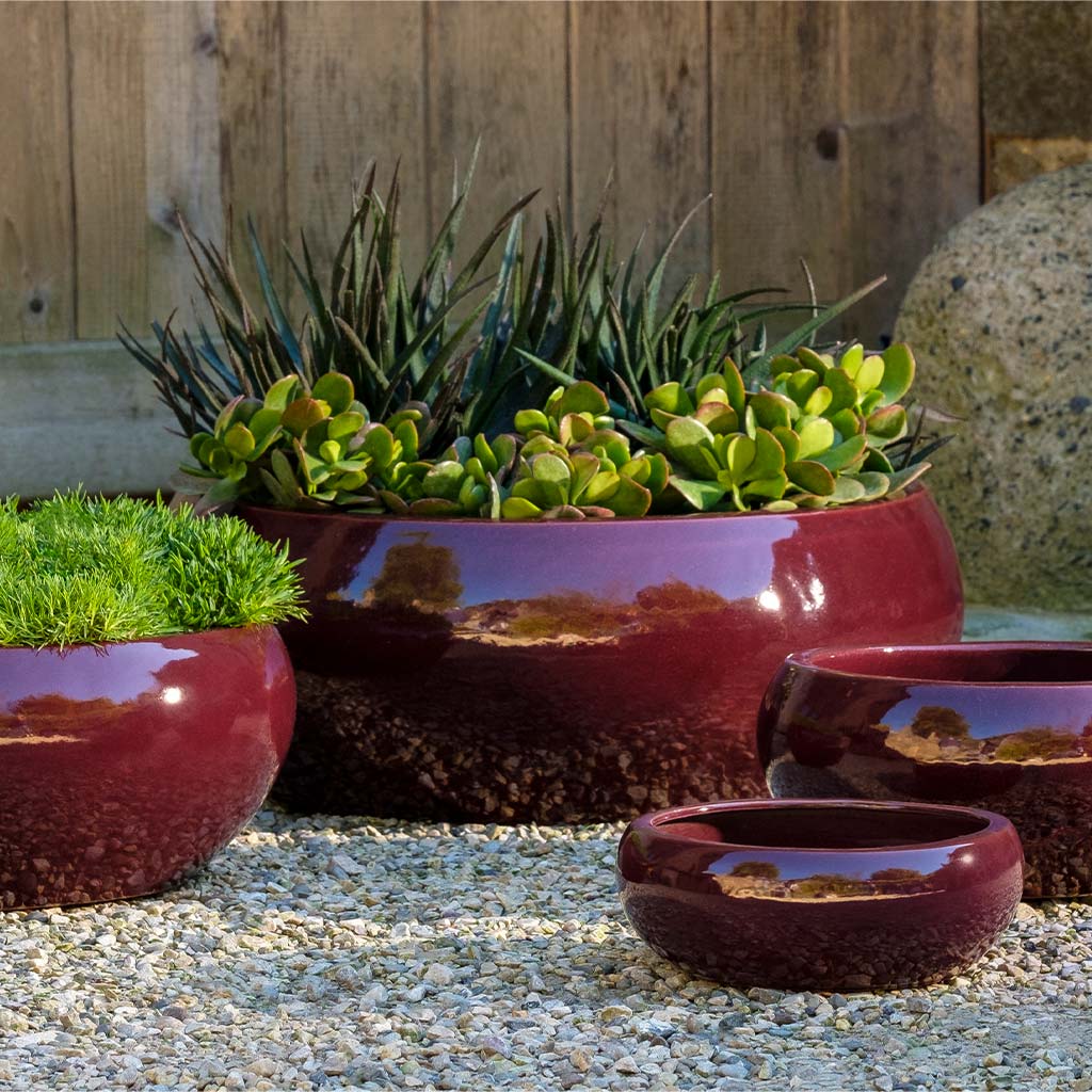 Sasha Planter || Plum