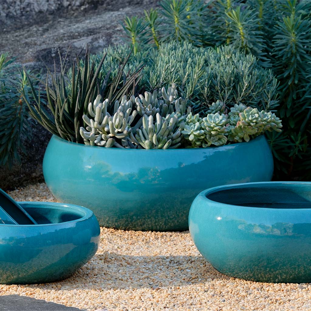 Sasha Planter || Agave