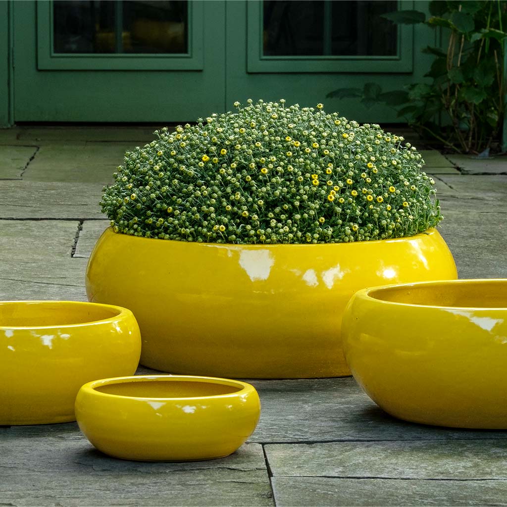 Sasha Planter || Limon