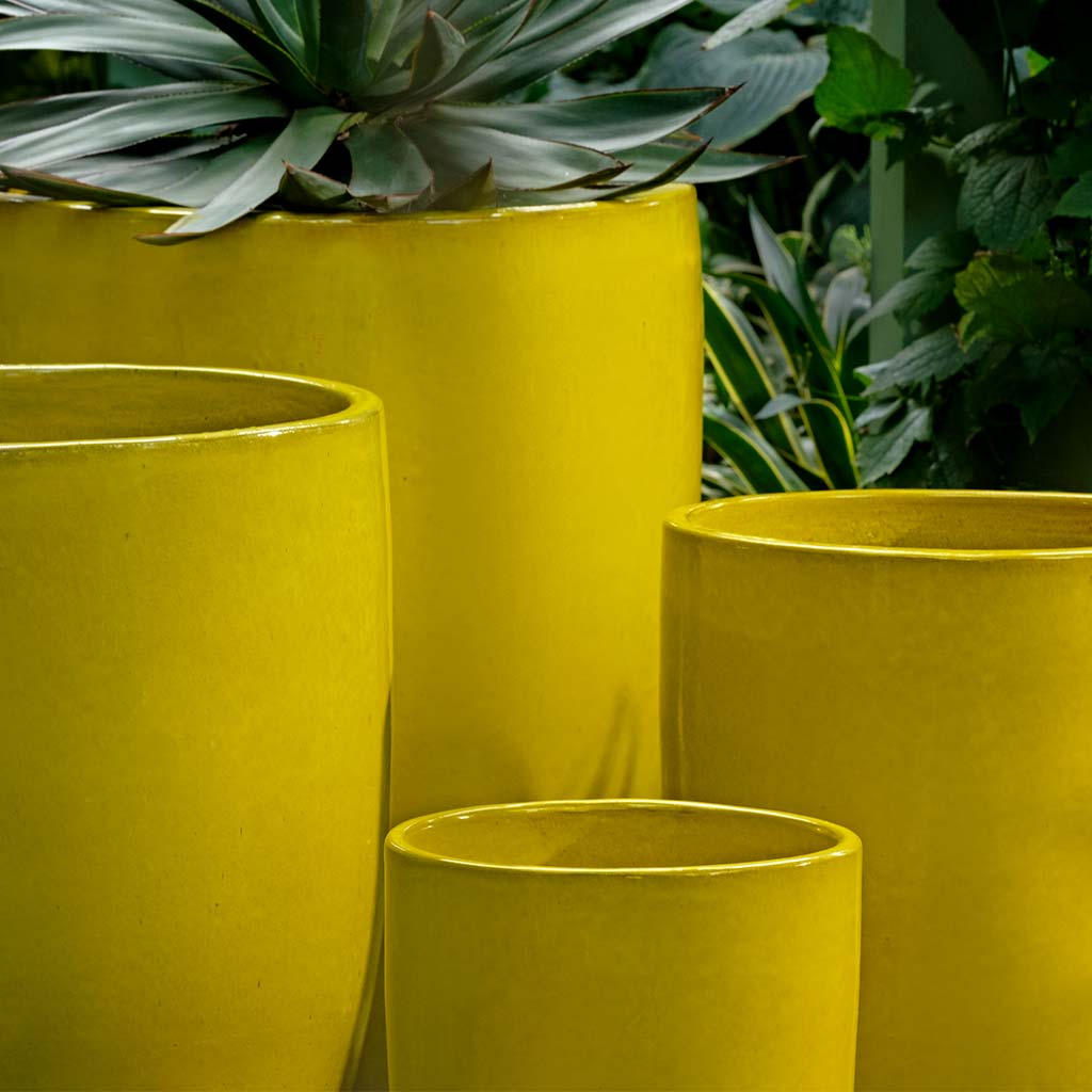 Perla Planter || Limon
