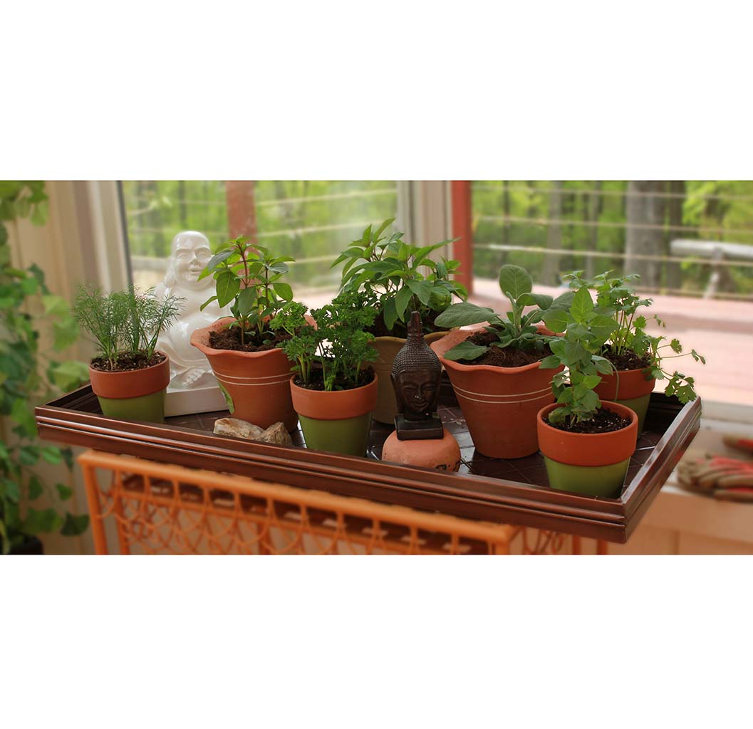 Classic Multi-Purpose Boot Tray