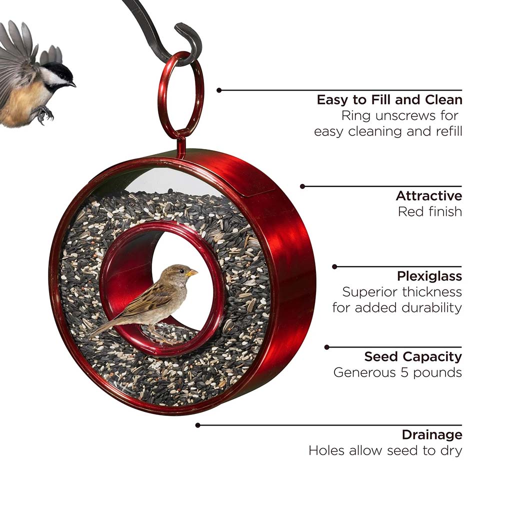 Ruby Red Fly-Thru Bird Feeder