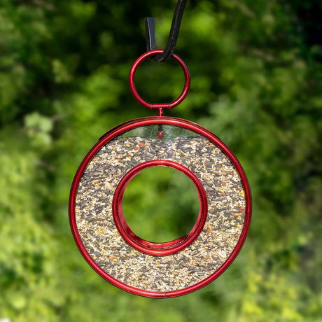 Ruby Red Fly-Thru Bird Feeder
