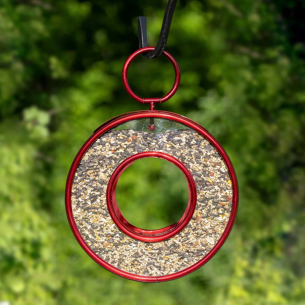 Ruby Red Fly-Thru Bird Feeder