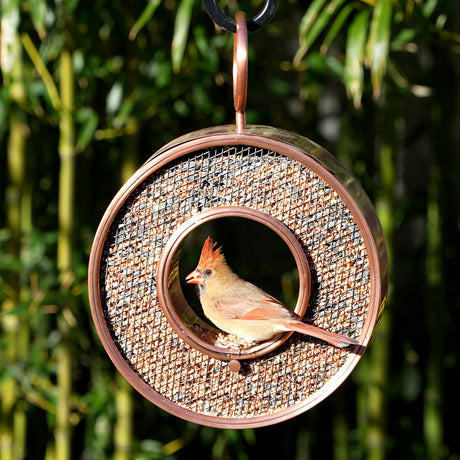 Fly-Thru Copper Bird Feeder with Mesh Panels