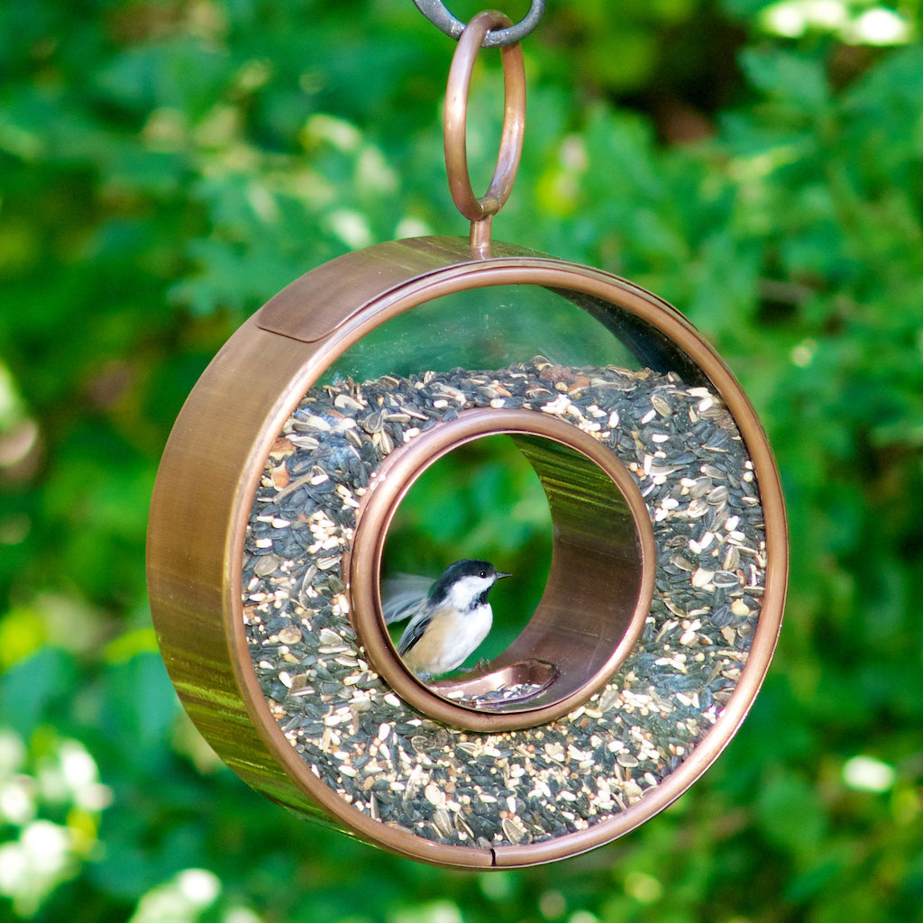 Circle Fly-Thru Copper Bird Feeder
