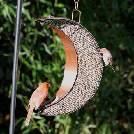 Over The Moon Copper Bird Feeder with Mesh Panels