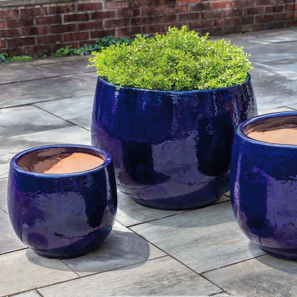 Martine Planter || Sapphire
