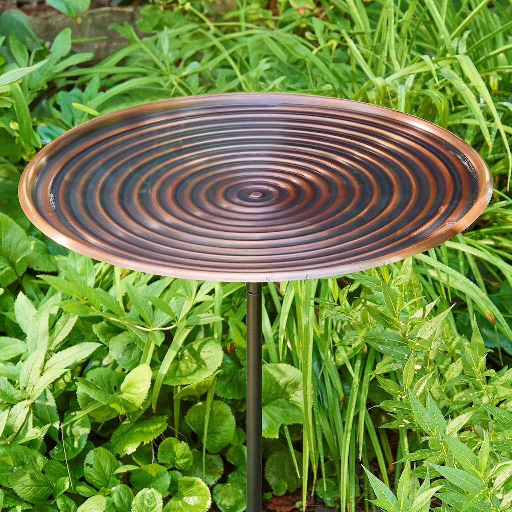 20-inch Bronze Ripples Bird Bath with Garden Pole