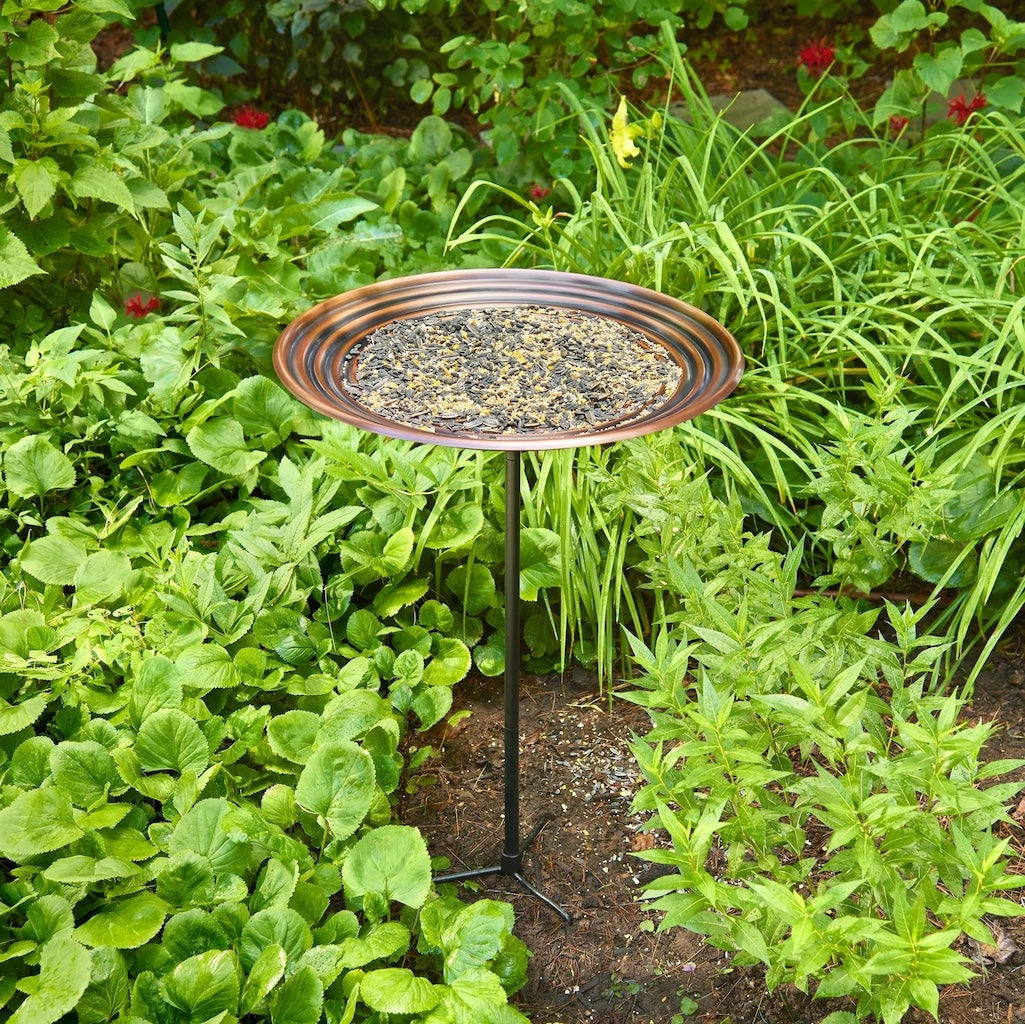 20-inch Bronze Ripples Bird Bath with Garden Pole