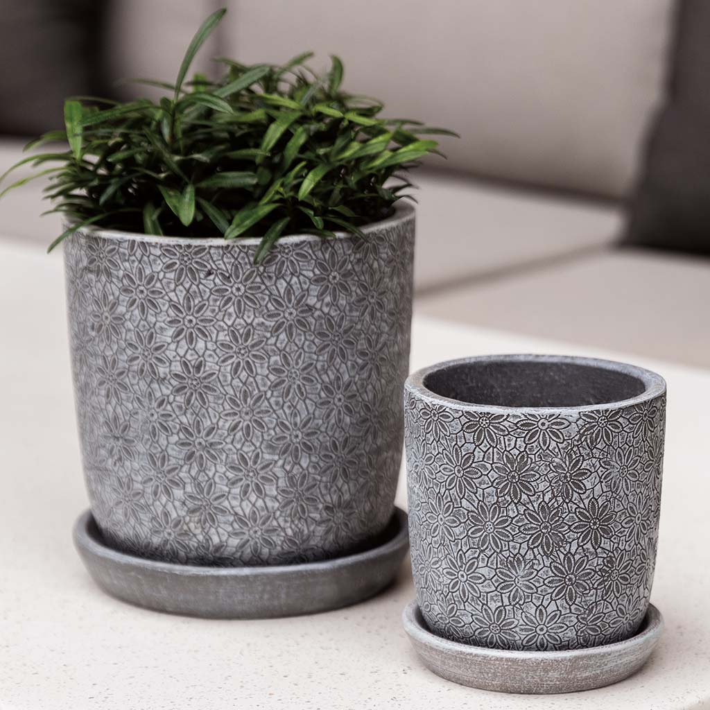 Marguerite Round Planter, Small Set of 8 Campania International Etched Grey