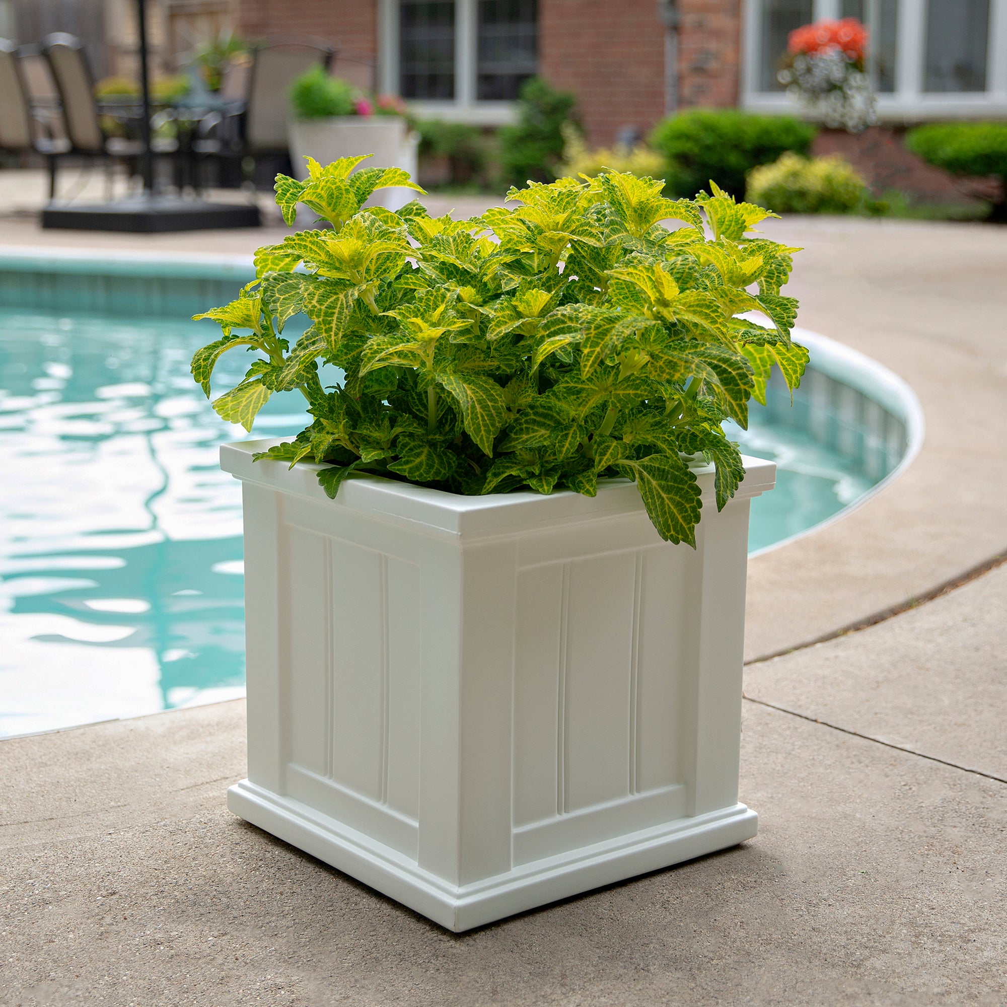 Cape Cod 14x14 Square Planter