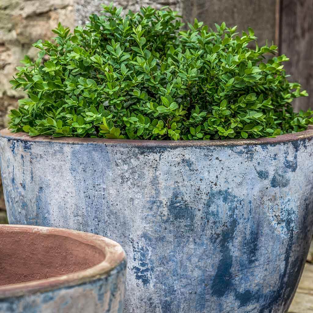 Cassia Planter || Vicolo Mare