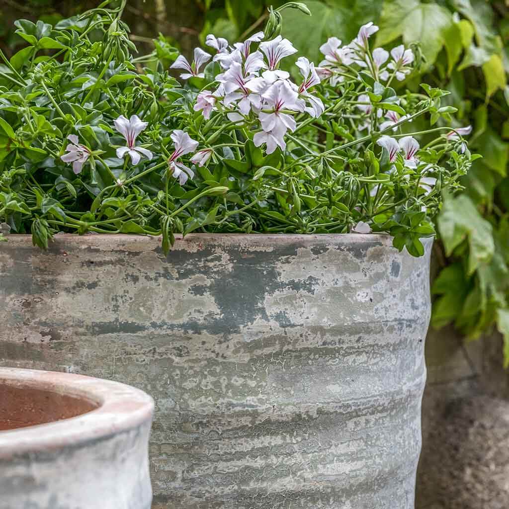 Sistina Planter || Vicolo Terra