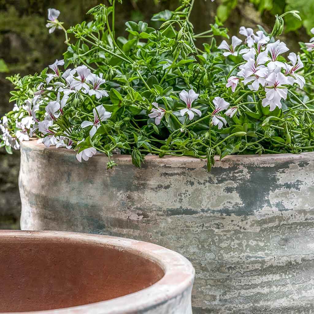 Sistina Planter || Vicolo Terra