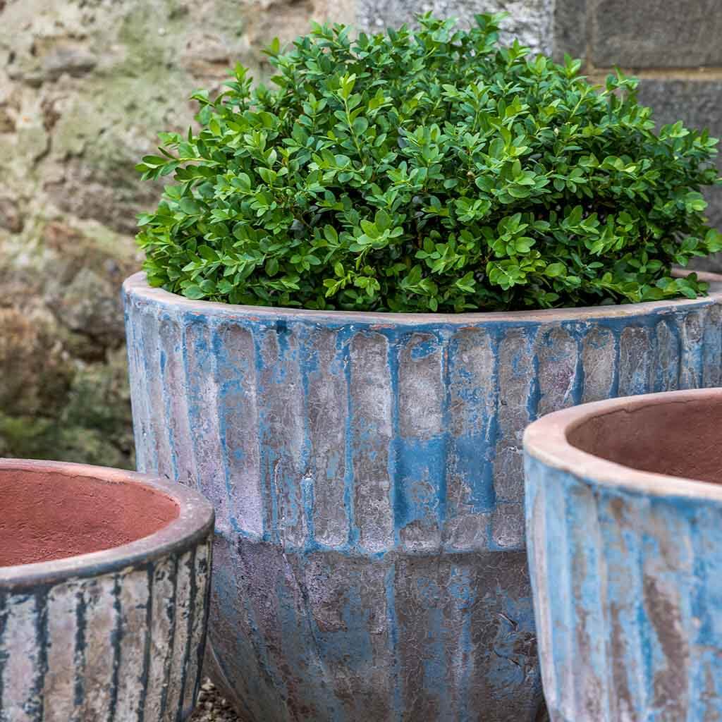 Velia Planter || Vicolo Mare