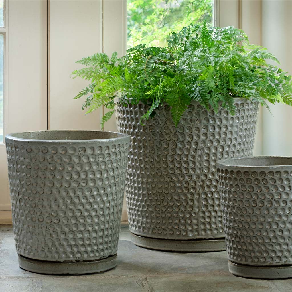 I/O Coin Pot || Pewter Green