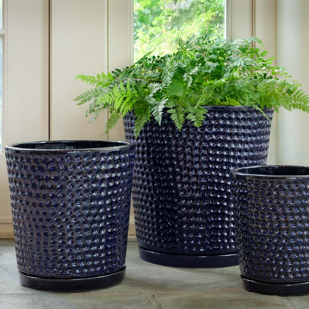 I/O Coin Pot || Sapphire