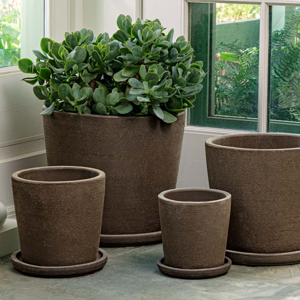 Maracay Planter || Carob
