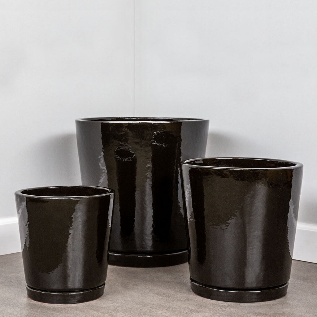 Campania International I/O Tapered Cylinder in Cola set of 3