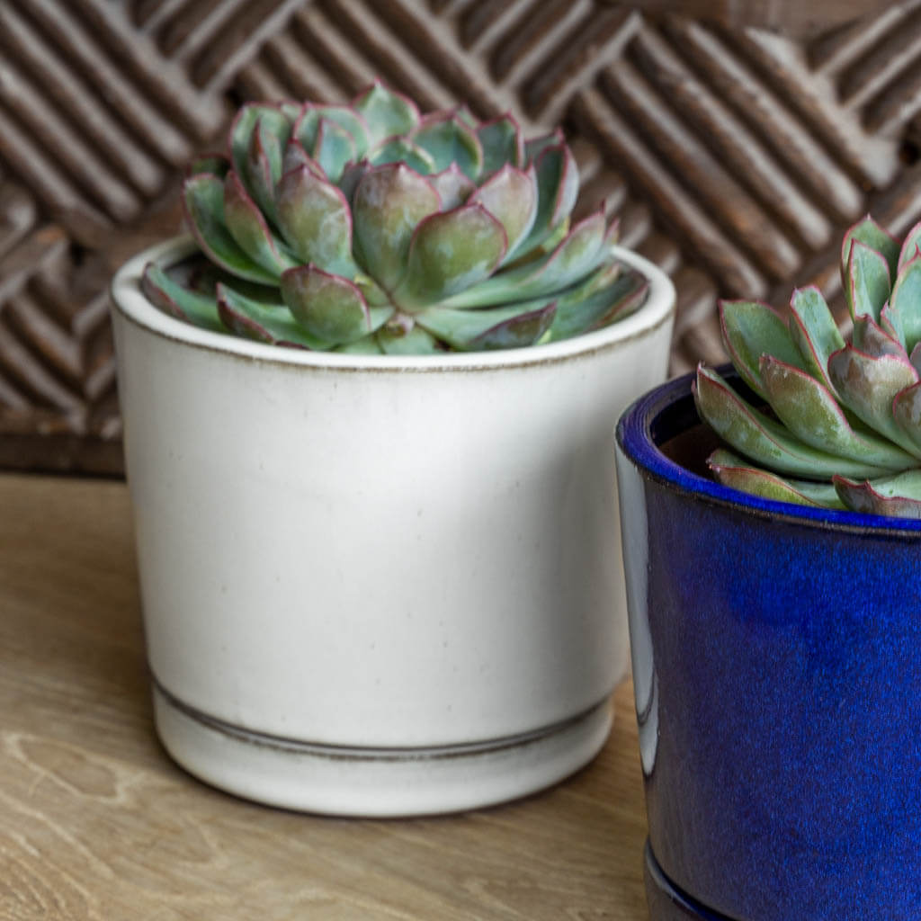 low pot planter Campania International | I/O Low Planter in White