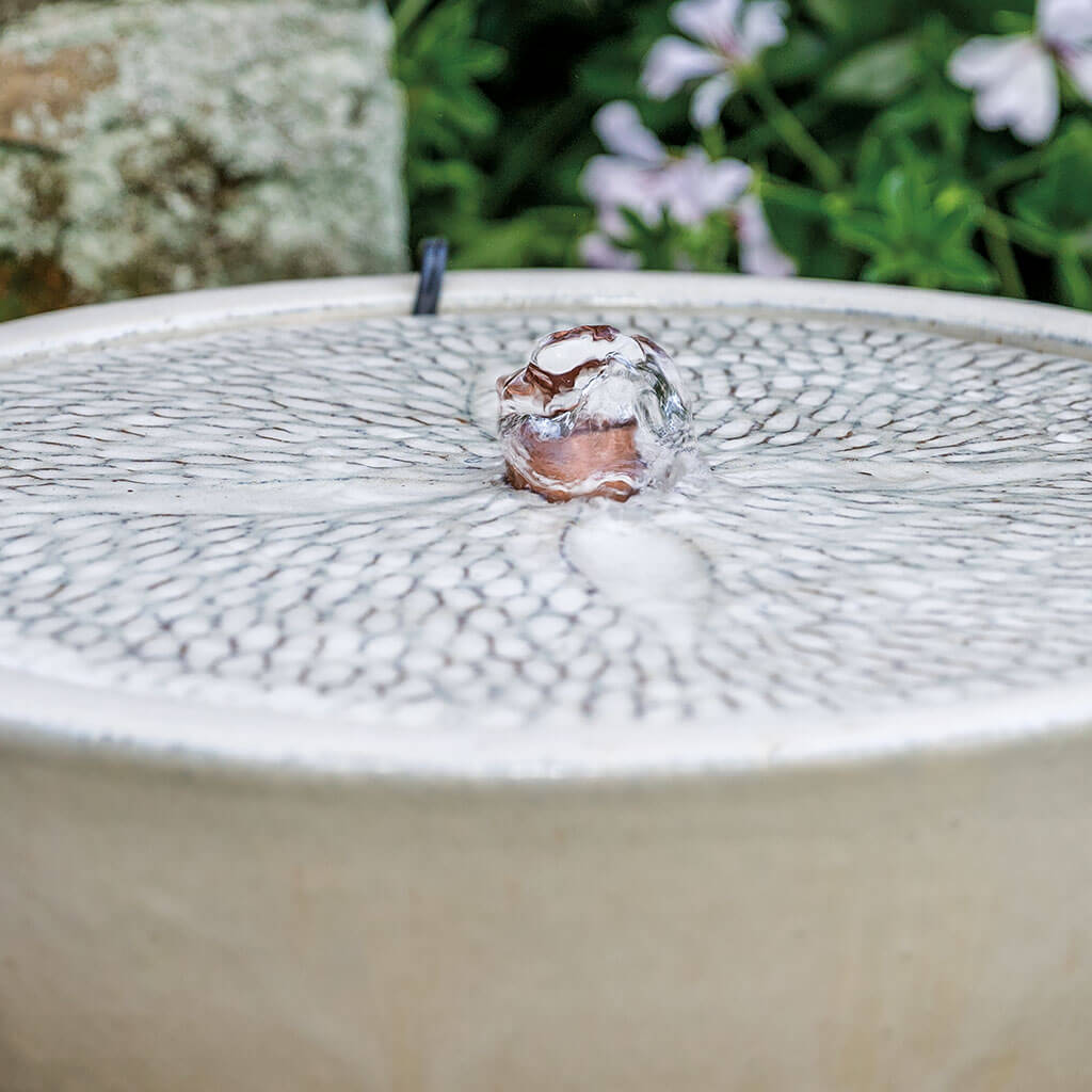Sand Dollar Fountain || Cream