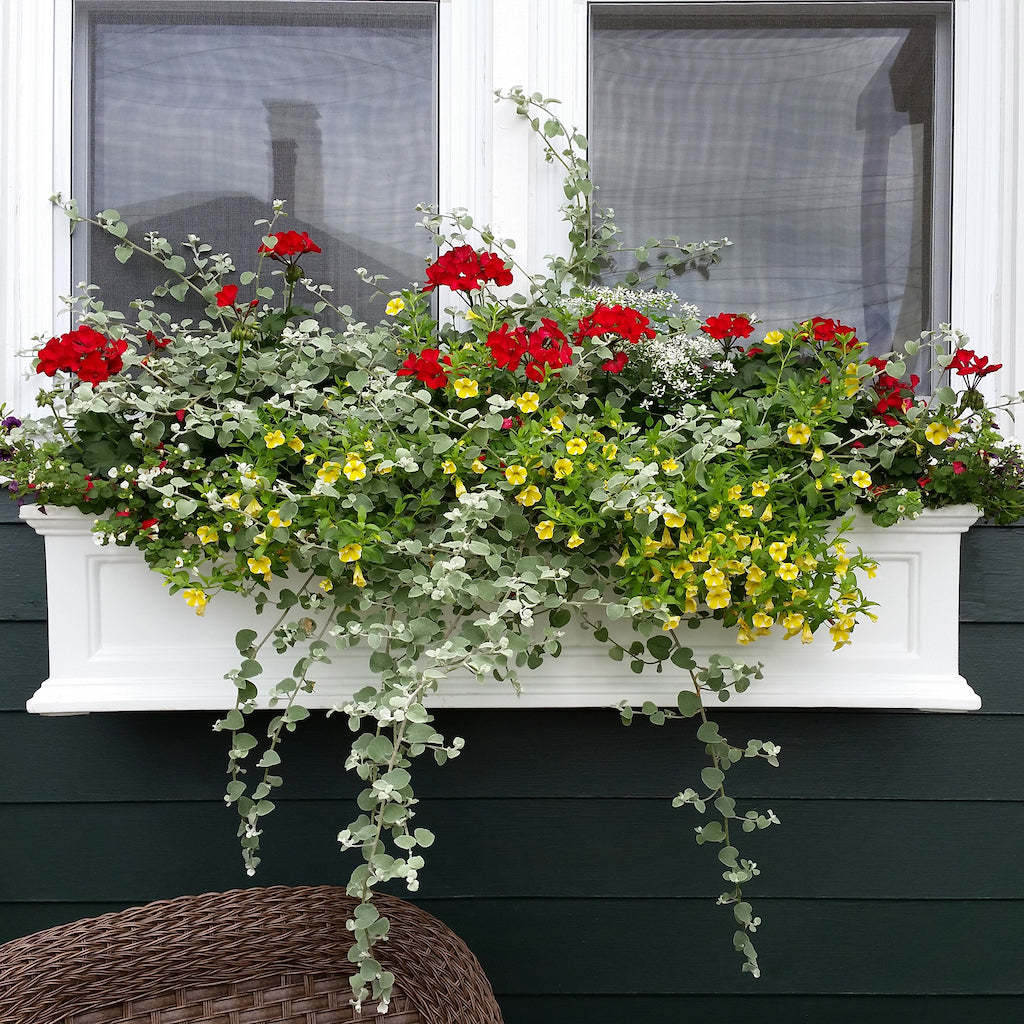 Fairfield 4ft Window Box
