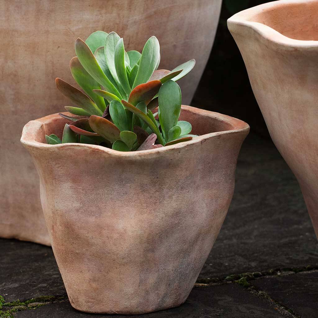 large terracotta pots for succulents Foxglove Planter || Terra Cotta – Garden-Fountains