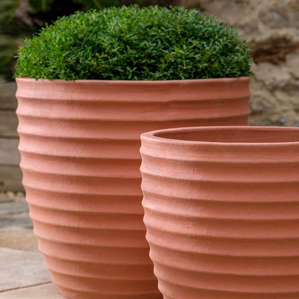 Linea Planter || Terra Rosa