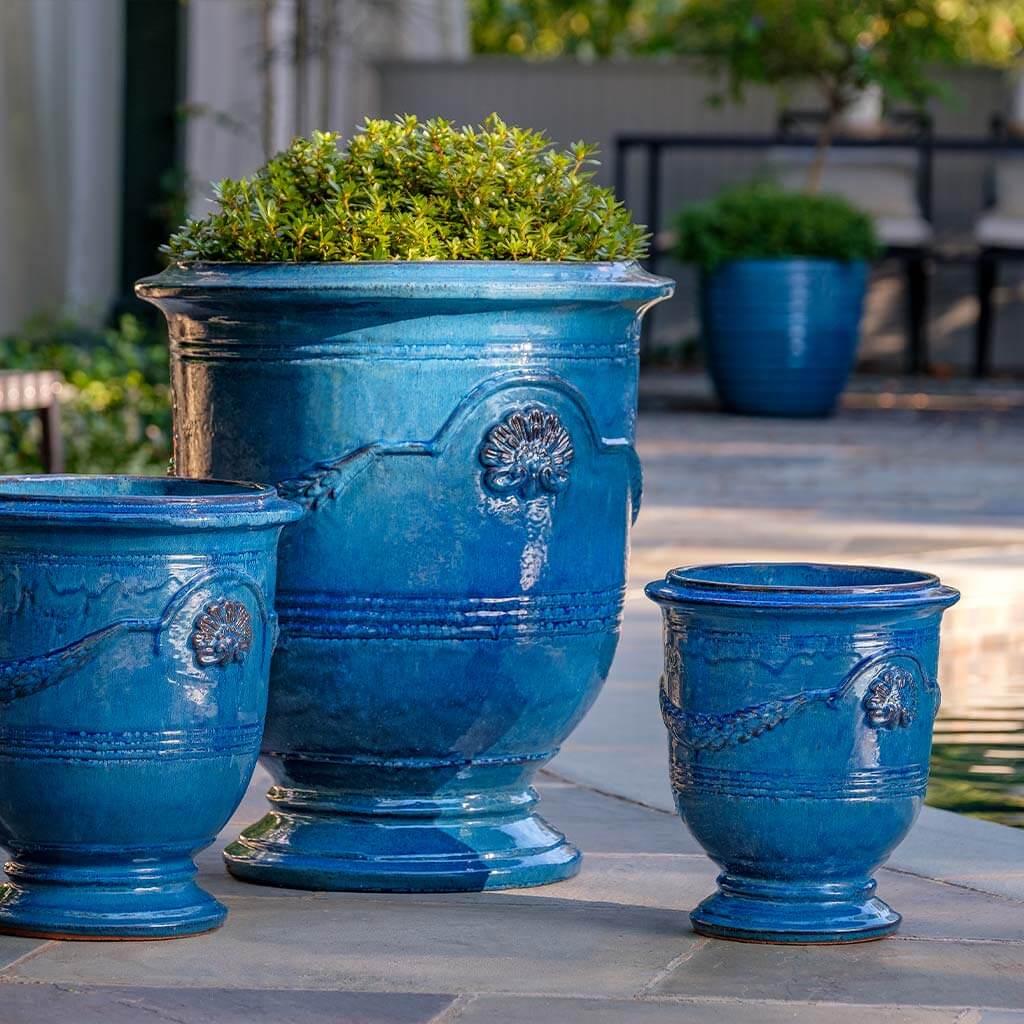 Coquille Anduze Urn || Cerulean Blue
