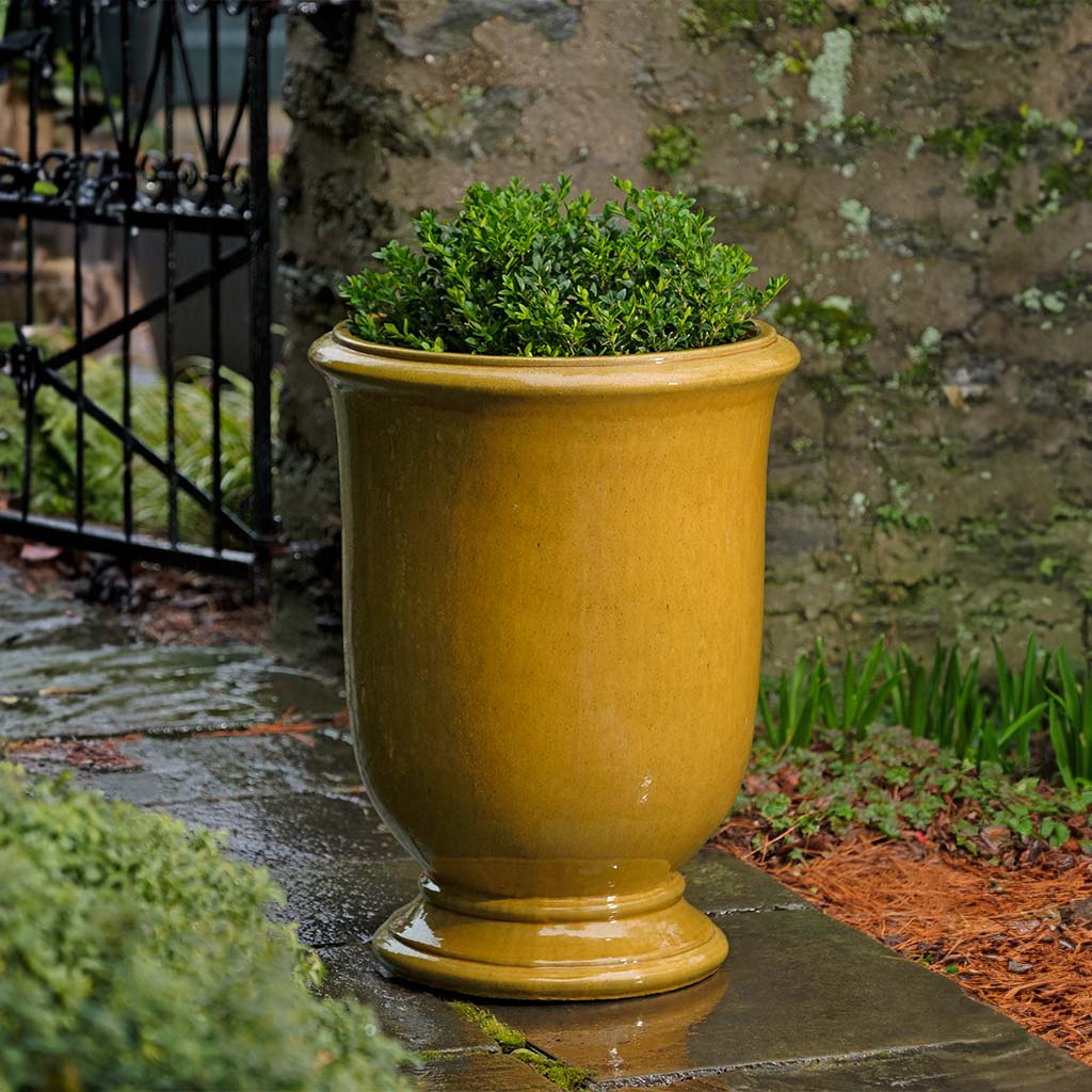Antibe Urn || Honey