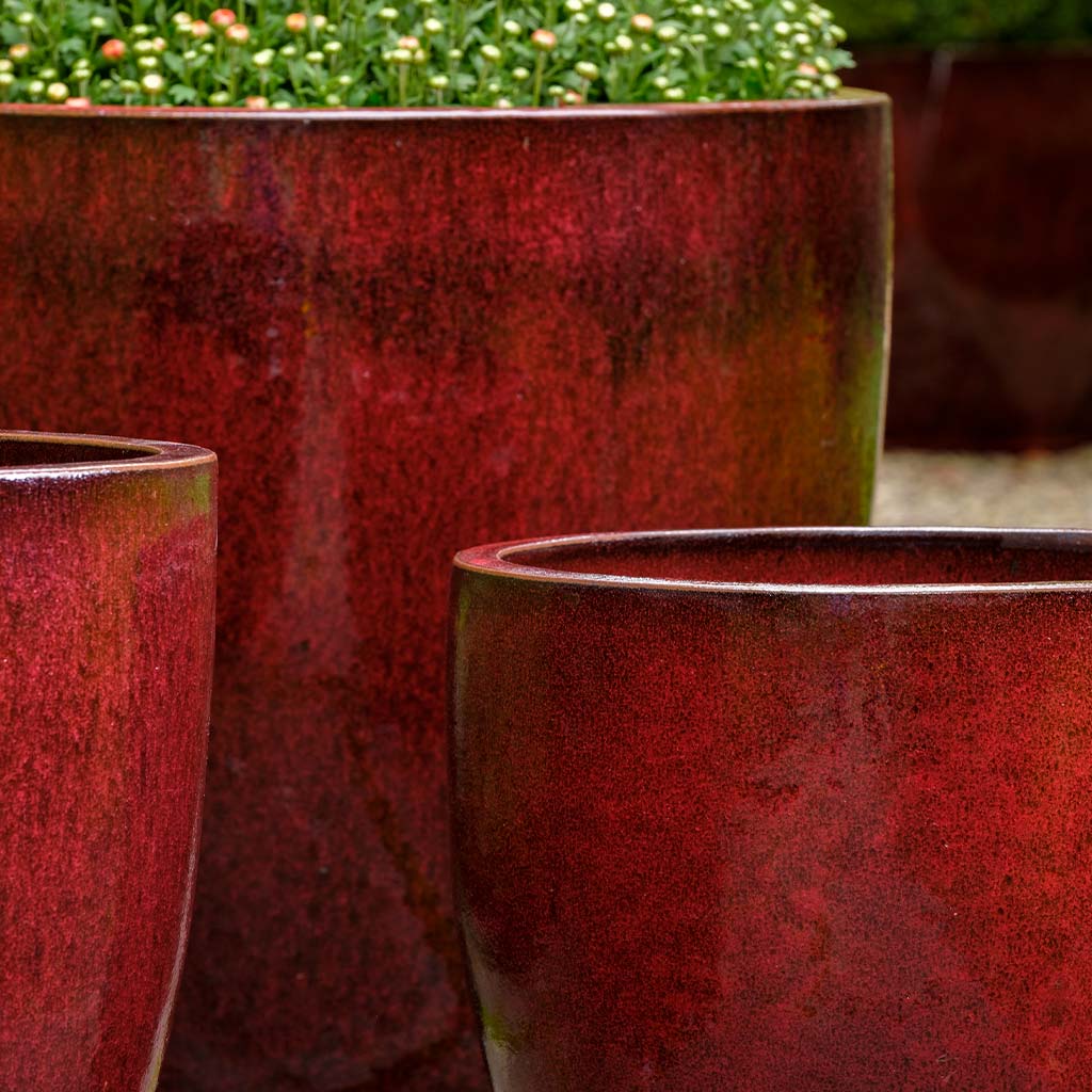 Rafi Planter || Barolo