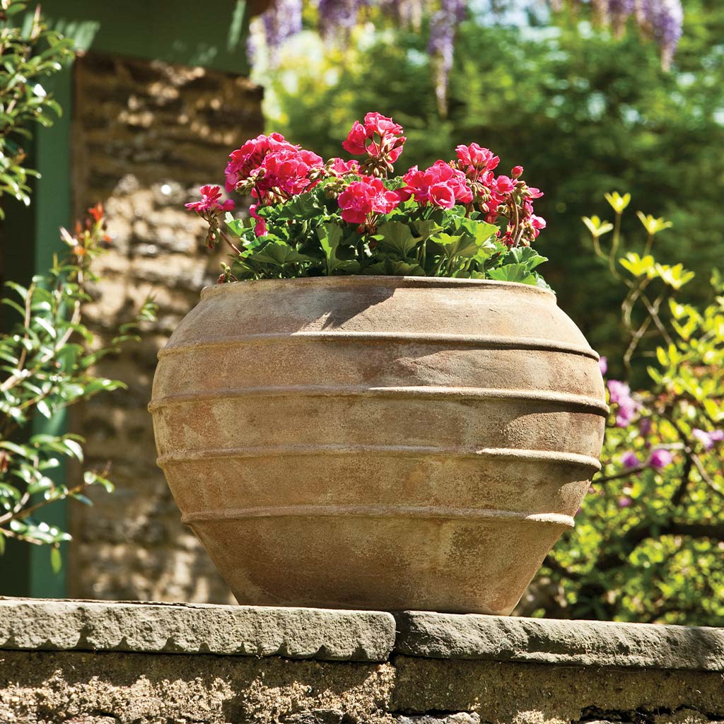 Campania International Thea Planter - Thumbnail 2