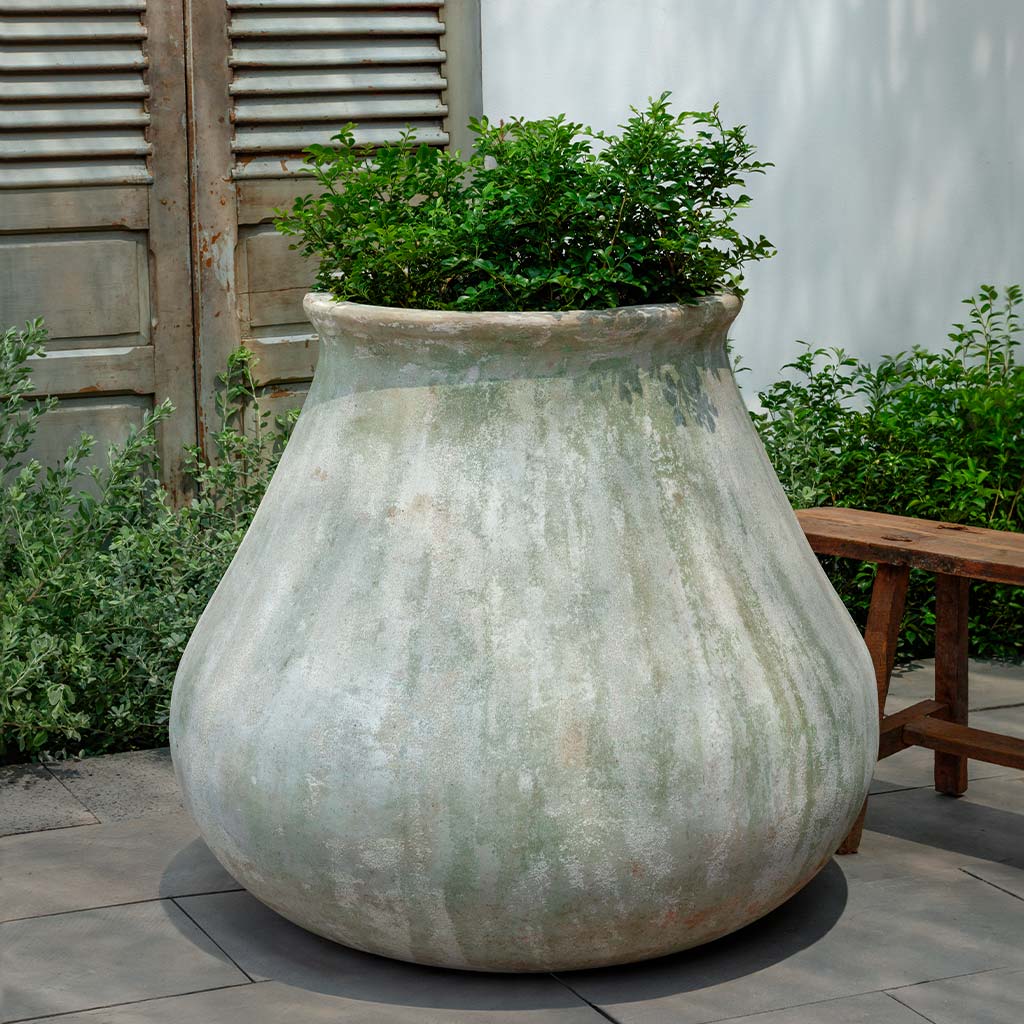 Venasque Jar (see color variant images) || Murano Fresco