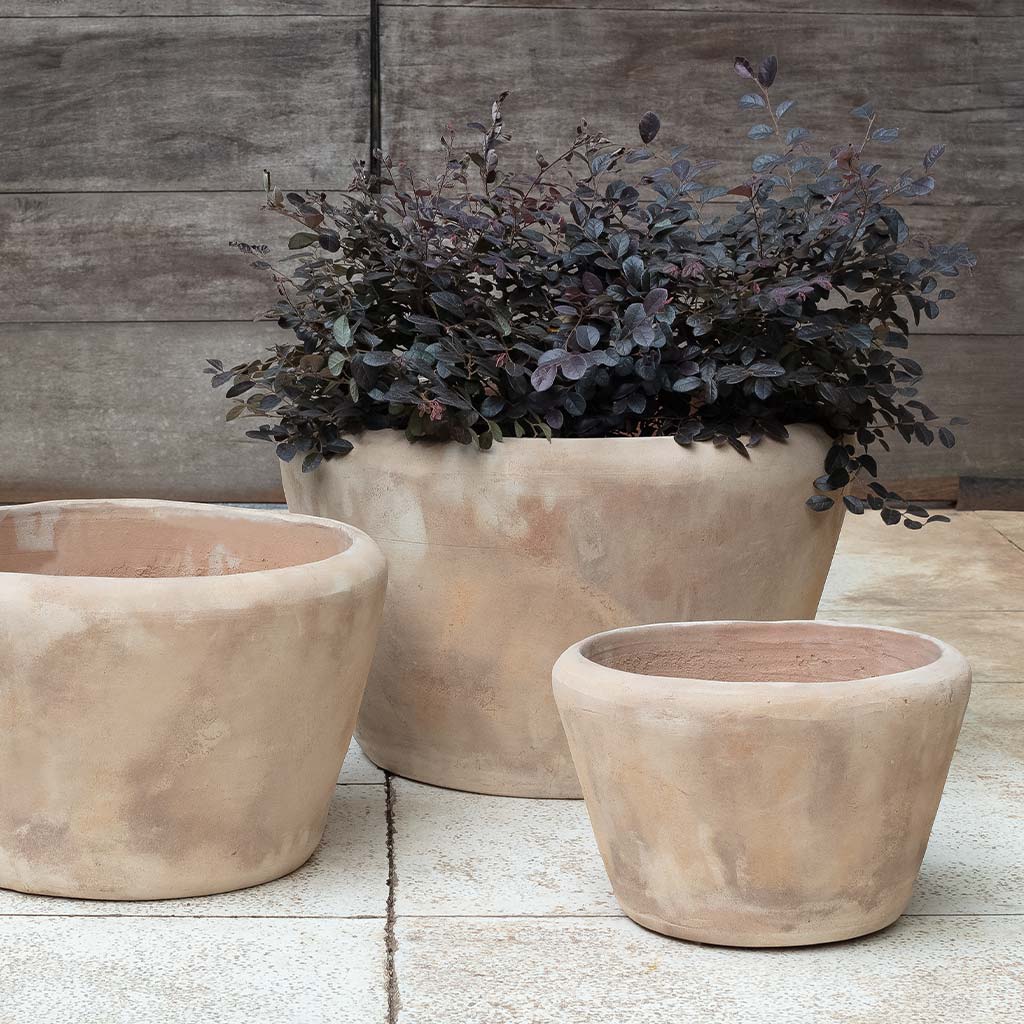 Campania International Whitby Planter