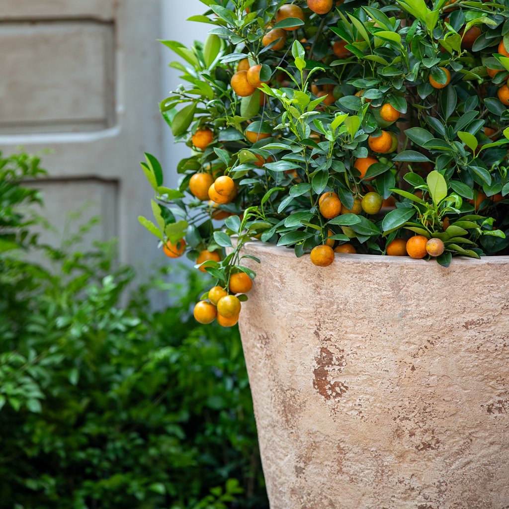 Catena Planter 20" || Antico Terra Cotta