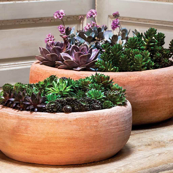 Campania International Annalise Planter, Set of 2