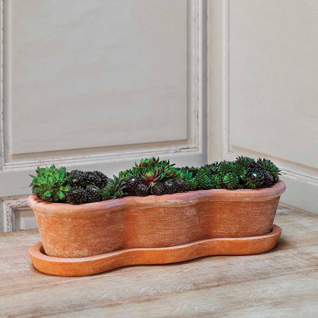 terracotta oblong planters Campania International 6532-2403 Costa Planter-Terra Nova 3-Piece