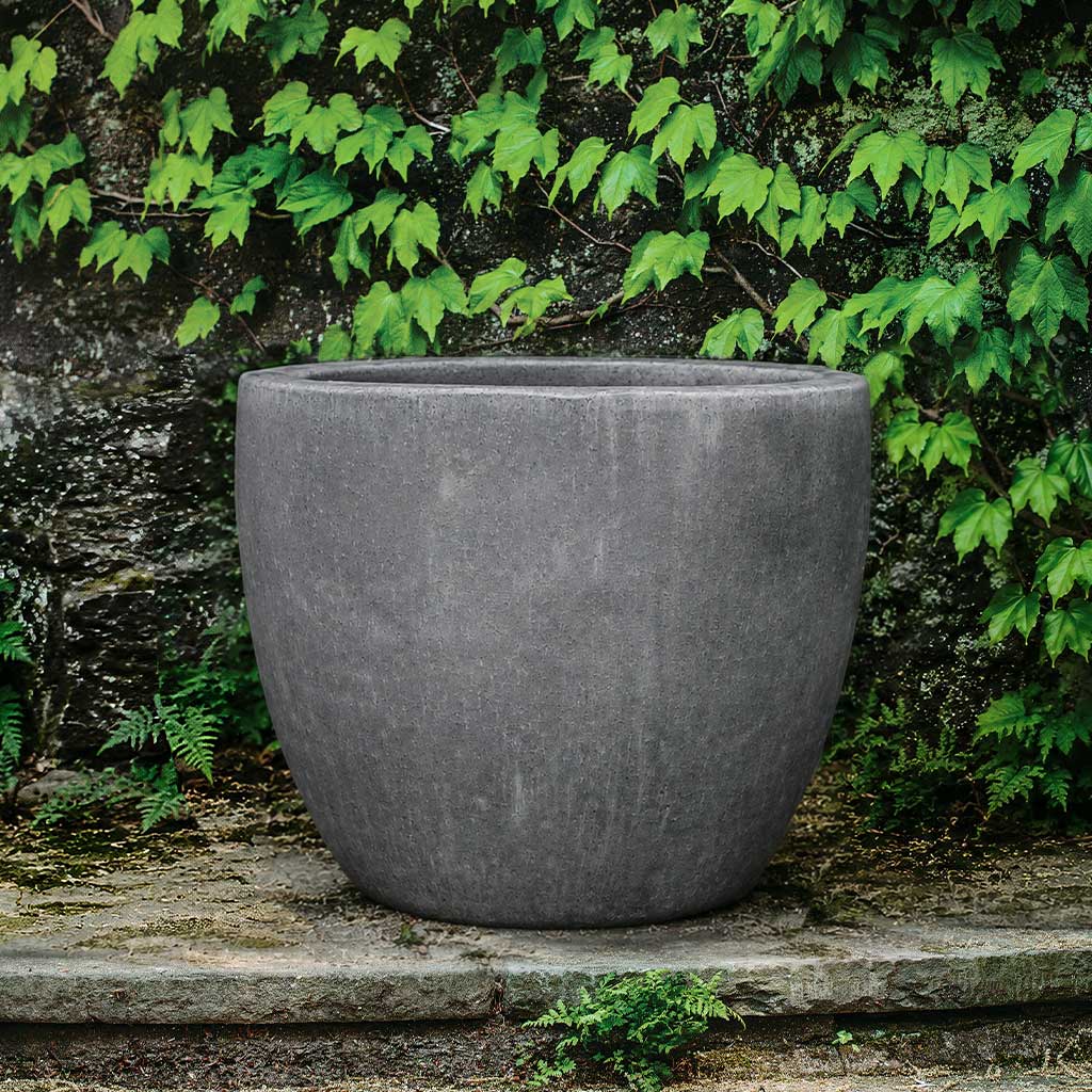 Marcel Planter || Graphite