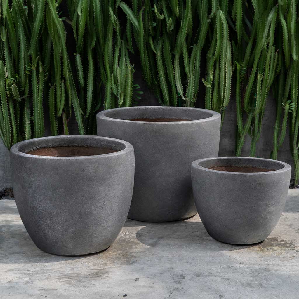 Marcel Planter || Graphite