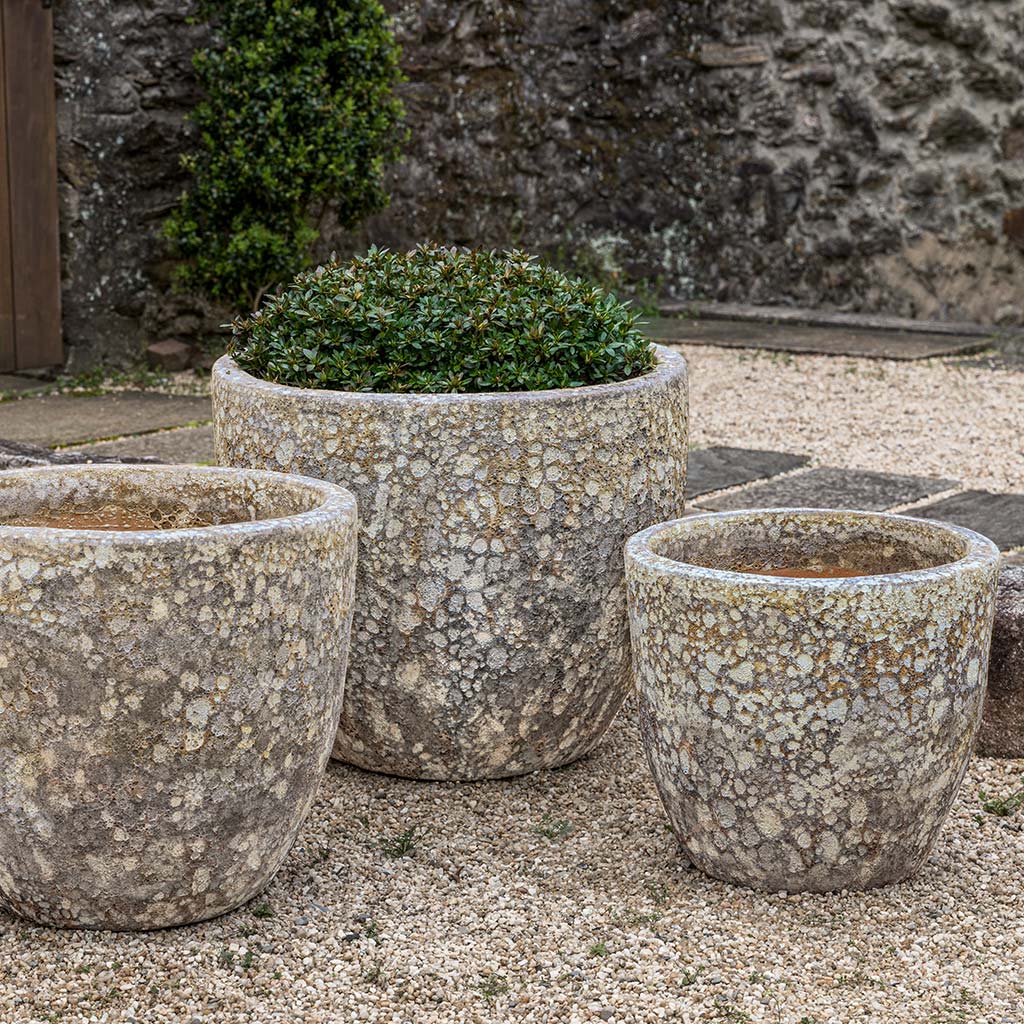 Campania International Caipirinha Planter - Thumbnail 5