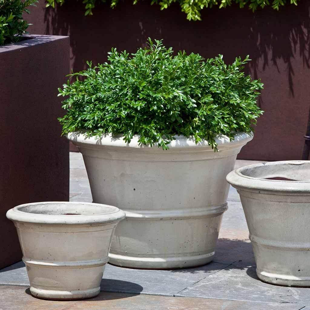 Vicolo Planter || Cream