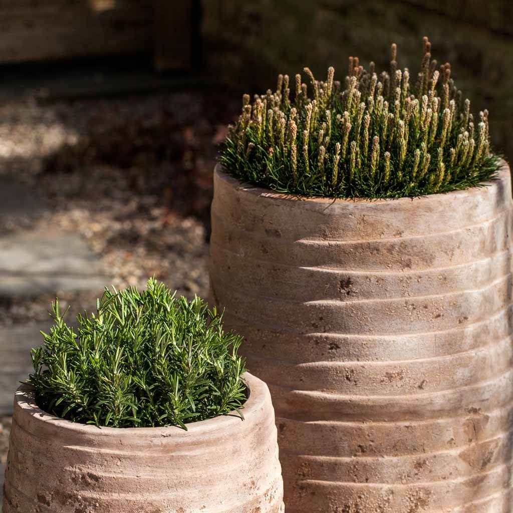 Ipanema Planter, Tall || Antico Terra Cotta